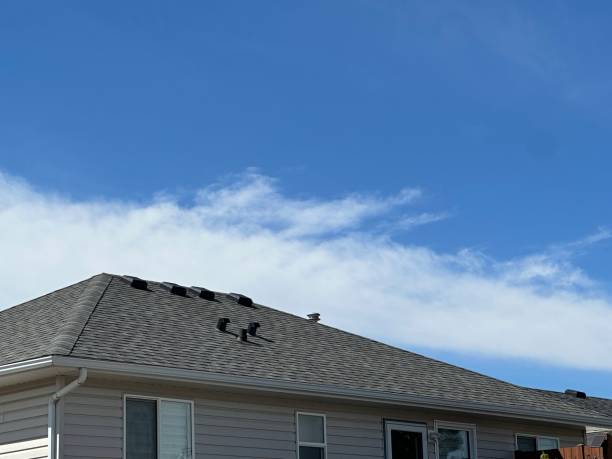 Best Roof Ventilation Installation  in Cottonwood Heights, UT